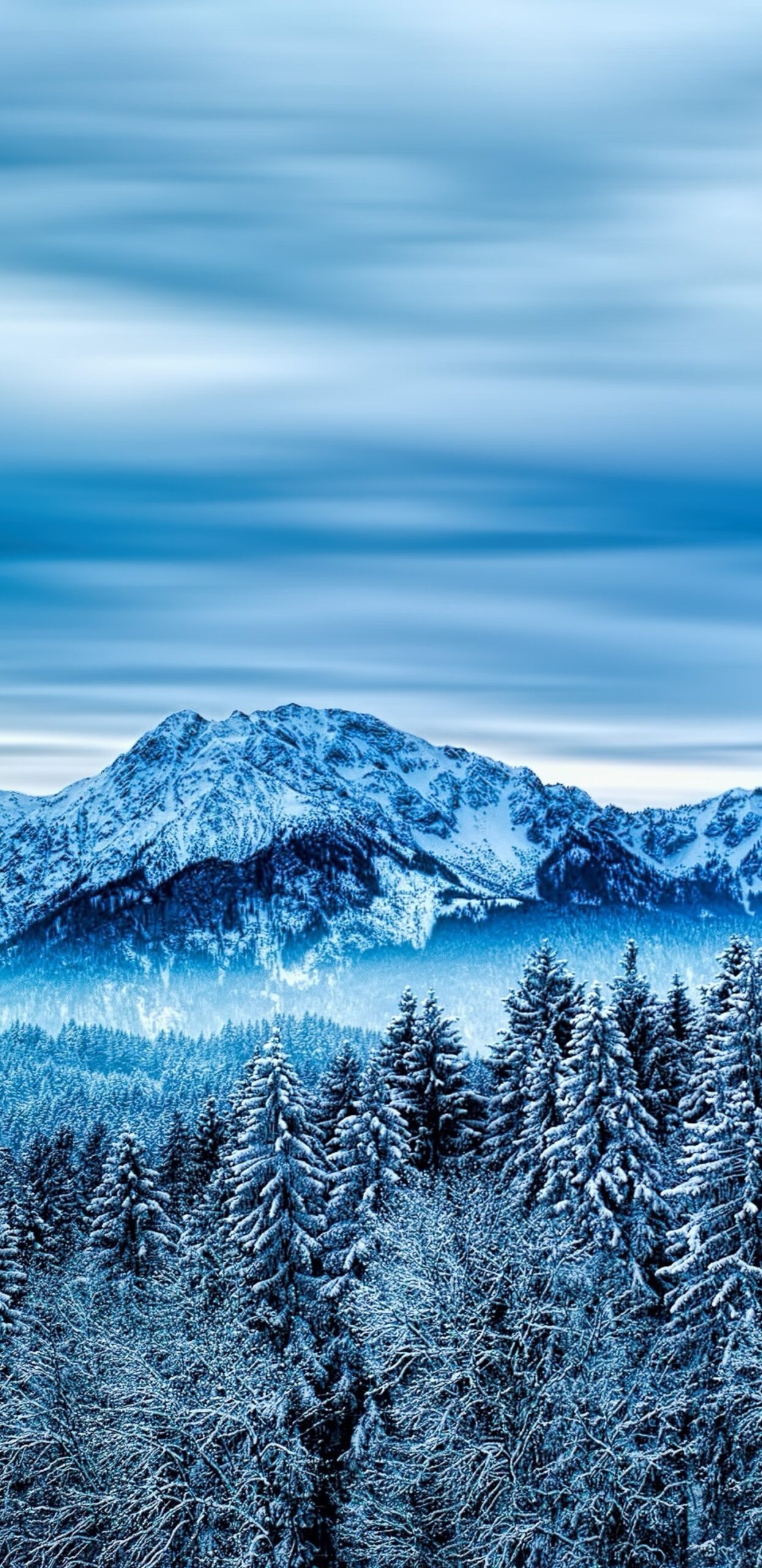 wp10285897 1440x2960 winter wallpapers scaled