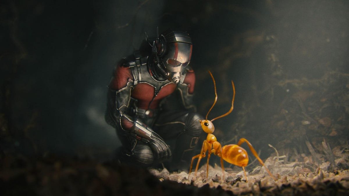 wp11632835 ant man and the wasp quantumania wallpapers